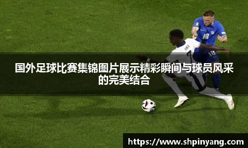 HB火博官方登录入口