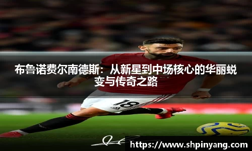 HB火博官方网站